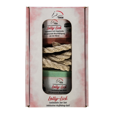 Pierre a sel aromatisée Lolly Lick lot de 2 HKM Églantier / pomme