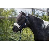 Licol Mia pour shettys HKM Licol Mia pour shettys HKM