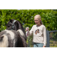 Spray démêlant Fiona HKM Rose