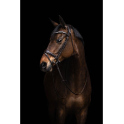 Bridon Arezzo Lauria Garrelli Marron foncé