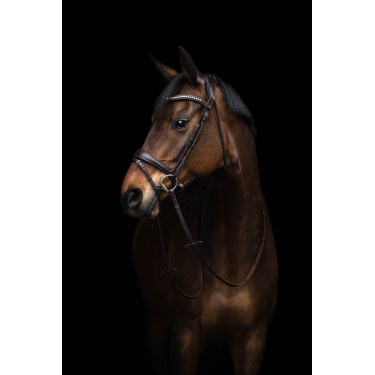 Bridon Arezzo Lauria Garrelli Marron foncé