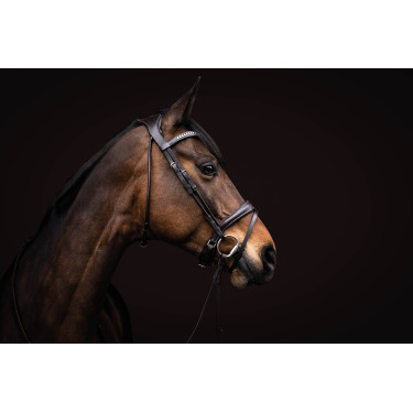 Bridon Arezzo Lauria Garrelli Marron foncé