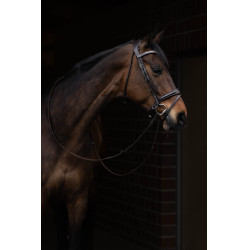 Bridon Arezzo Lauria Garrelli Marron foncé