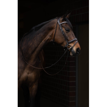 Bridon Arezzo Lauria Garrelli Marron foncé