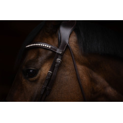 Bridon Arezzo Lauria Garrelli Marron foncé