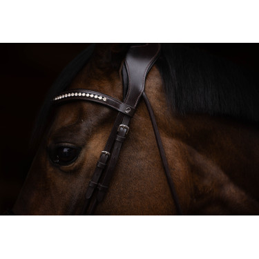 Bridon Arezzo Lauria Garrelli Marron foncé