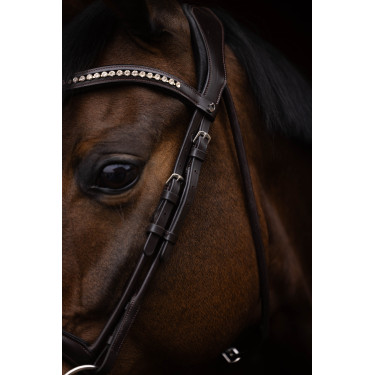 Bridon Arezzo Lauria Garrelli Marron foncé