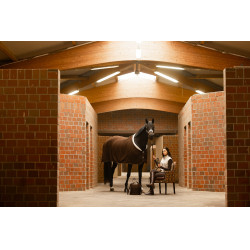 Couverture séchante Arezzo Lauria Garrelli Marron foncé