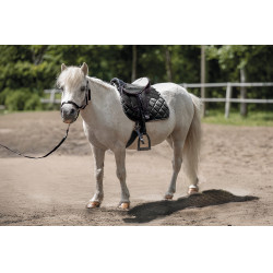 Selle pour Shetland set Lucy HKM Noir