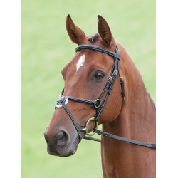Bridon Brackley Salisbury Shires Noir