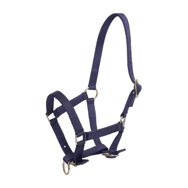 Licol foal HV Polo Nena Marine Bleu marine
