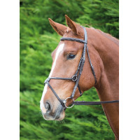 Bridon mexicain Aviemore Shires Havane Marron Bridon mexicain Aviemore Shires Havane Marron