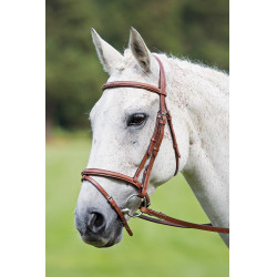 Bridon muserolle croisée Raised Flash Avignon Shires Chêne Marron