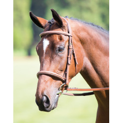 Cavesson muserolle française Avignon Shires Chêne Cavesson muserolle française Avignon Shires Chêne