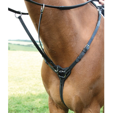 Collier de chasse 3 points Salisbury Shires Noir Collier de chasse 3 points Salisbury Shires Noir