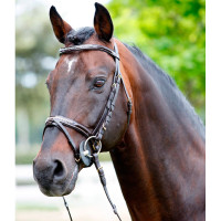 Bridon Tattini avec strass