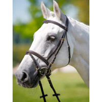 Bridon Tattini muserolle combinée