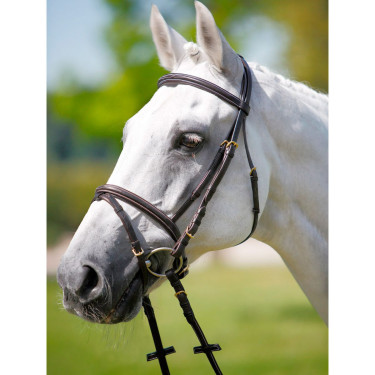 Bridon Tattini muserolle combinée Bridon Tattini muserolle combinée