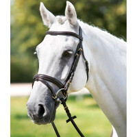 Bridon Tattini muserolle combinée bombée Marron