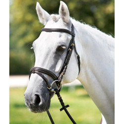 Bridon Tattini muserolle combinée bombée