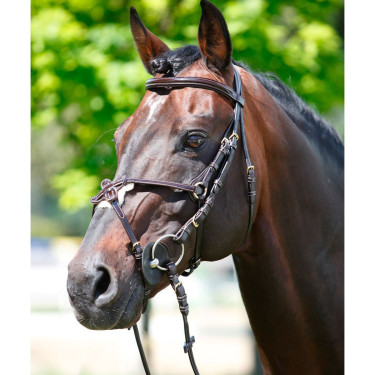 Bridon Tattini muserolle croisée Marron
