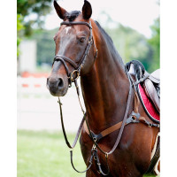 Collier de chasse Tattini à 5 points Marron boucle en laiton Collier de chasse Tattini à 5 points Marron boucle en laiton