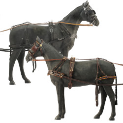 Harnais Daslö pour voiture 4 roues Noir