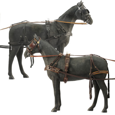 Harnais Daslö pour voiture 4 roues Noir