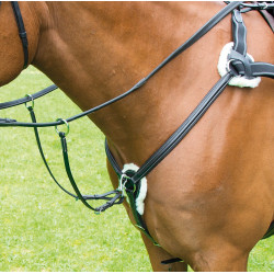 Collier de chasse 5 points Avignon Shires Noir