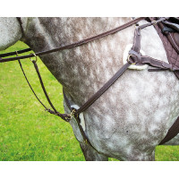 Collier de chasse 5 points Salisbury Shires Havane Marron Collier de chasse 5 points Salisbury Shires Havane Marron