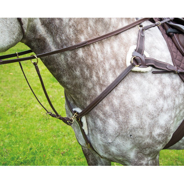Collier de chasse 5 points Salisbury Shires Havane Marron
