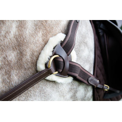 Collier de chasse 5 points Salisbury Shires Havane Marron