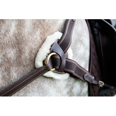 Collier de chasse 5 points Salisbury Shires Havane Marron