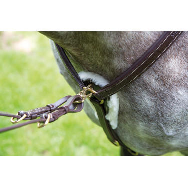Collier de chasse 5 points Salisbury Shires Havane Marron