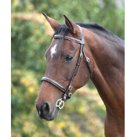 Bridon avec surpiqûres Fancy Blenheim Shires Bridon avec surpiqûres Fancy Blenheim Shires