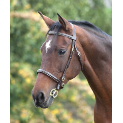 Bridon avec surpiqûres Fancy Blenheim Shires Bridon avec surpiqûres Fancy Blenheim Shires