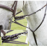 Enrênement Howlett Blenheim Shires