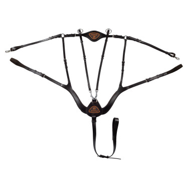 Collier de chasse anatomique 5 points Acavallo Marron foncé