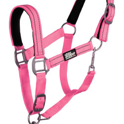 Licol Synthétique avec Longe Reflective Supreme Rose