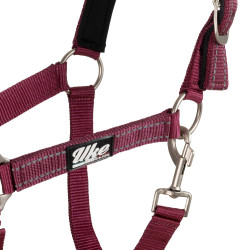 Licol Synthétique avec Longe Reflective Supreme Bordeaux