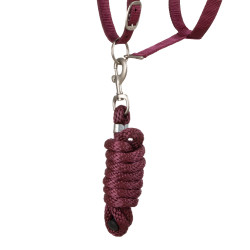 Licol Synthétique avec Longe Reflective Supreme Bordeaux