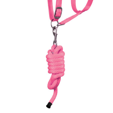 Licol Synthétique avec Longe Reflective Supreme Rose