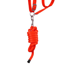 Licol Synthétique avec Longe Reflective Supreme Rouge