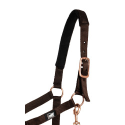 Licol en Nylon Rose Gold Line avec Longe Supreme Marron