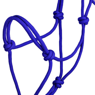Licol éthologiques en Corde Nouée Pool's Bleu royal Licol éthologiques en Corde Nouée Pool's Bleu royal