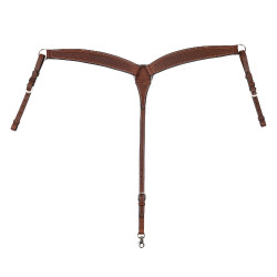 Collier de chasse Deluxe Pool's Marron