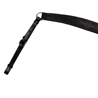 Collier de chasse Barbwire Pool's Noir