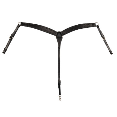 Collier de chasse Barbwire Pool's Noir