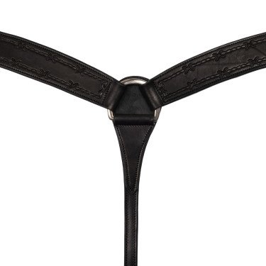 Collier de chasse Barbwire Pool's Noir