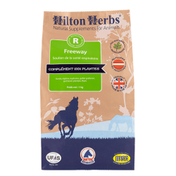 Freeway Hilton Herbs Freeway Hilton Herbs